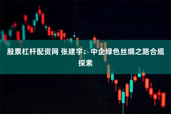 股票杠杆配资网 张建宇：中企绿色丝绸之路合规探索