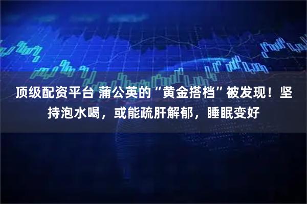 顶级配资平台 蒲公英的“黄金搭档”被发现！坚持泡水喝，或能疏肝解郁，睡眠变好